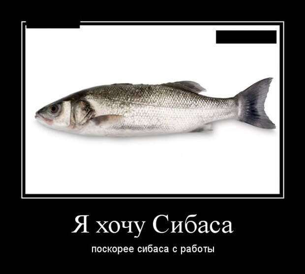 Демотиваторы (20 фото)