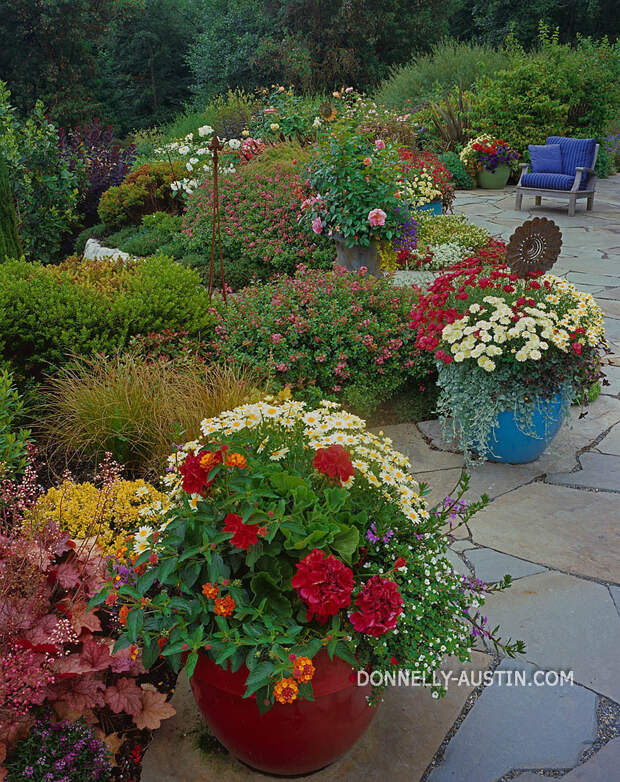 Vashon Island, WA: Flagstone patio featuring colorful pots iwth geraniums, chrysanthemums, and daisies edged by perennial garden beds