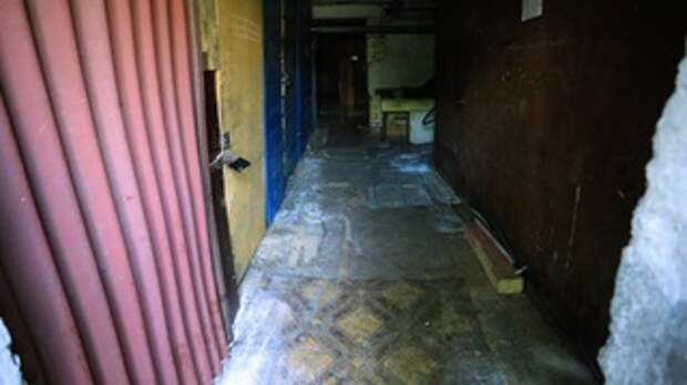 Подвал на ул. Некрасова, 12, в Барнауле / Фото: Екатерина Смолихина, amic.ru