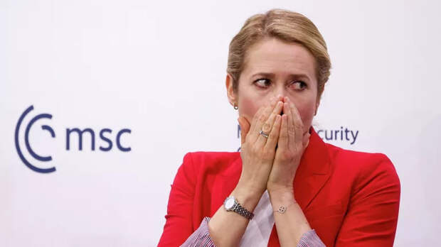 "Невероятно глупа". Журналист Боуз раскритиковал Каллас из-за лжи в отношении России