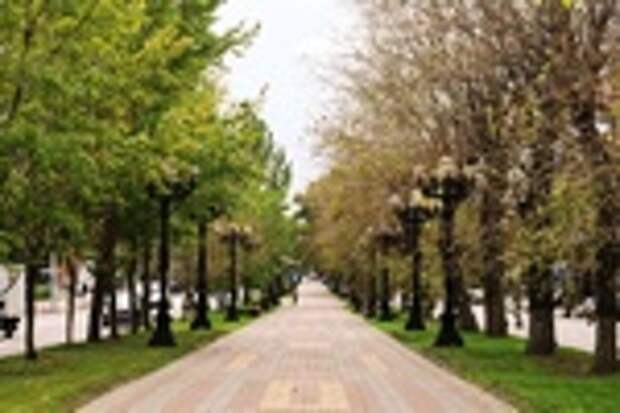 Осень в Барнауле / Фото: Екатерина Смолихина