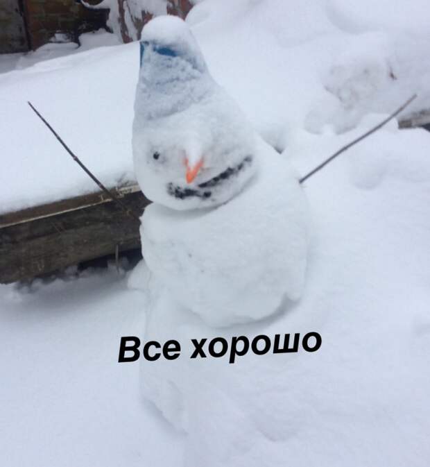 Прикольные картинки