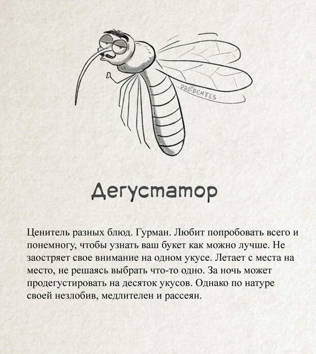 Классификация комаров Proidemtes, Комары, Юмор, Длиннопост, Насекомые