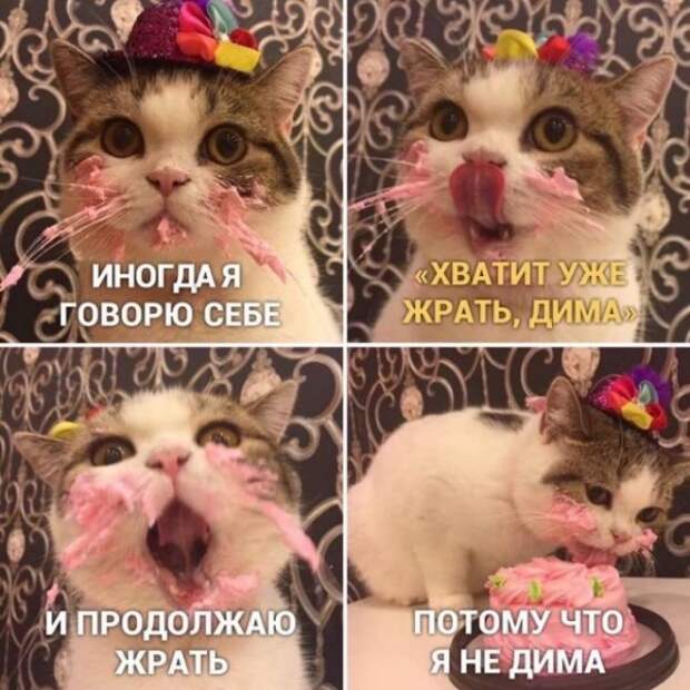 Немного картинок для настроения Немного картинок для настроения