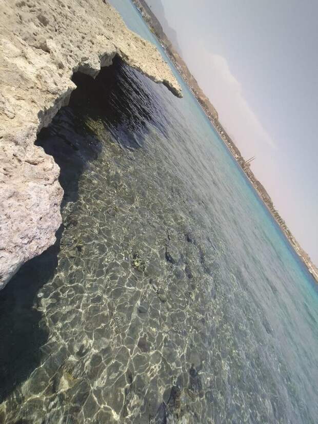 Законы Красного моря