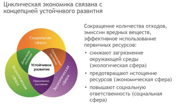 Управление проектами с учетом принципов концепции устойчивого развития курсовая