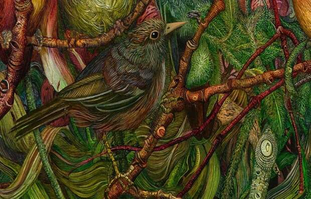 Райская птица. Автор: Judy Garfin.