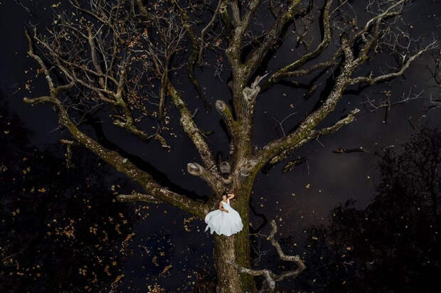 Лучшие свадебные фотографии с высоты Drone Photo Awards 2021