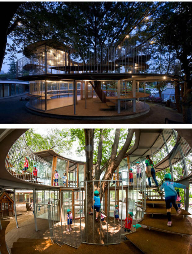 В Японии вокруг 50-летнего дерева построили маленький детский сад.