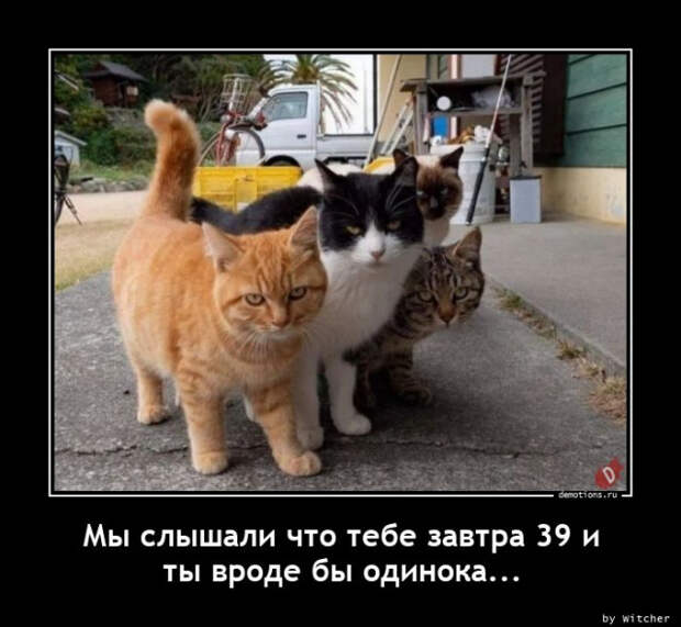 Свежие, прикольные демотиваторы