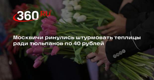 Baza: москвичи штурмуют подмосковные теплицы в поисках дешевых тюльпанов
