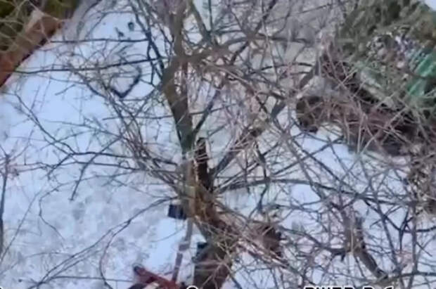 Кадры уничтоженного узла связи ВСУ показал Кадыров