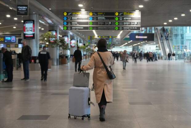 В аэропорту Домодедово временно ограничили полеты