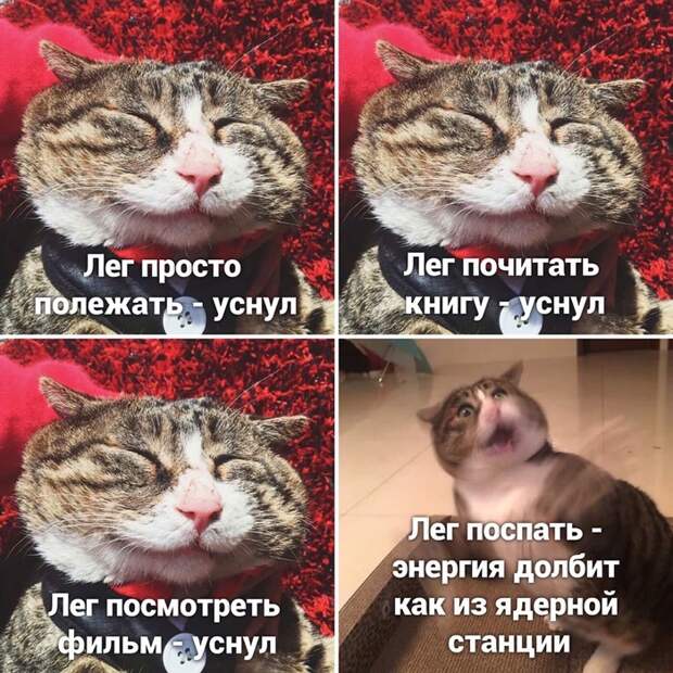Максимально жизненно Максимально жизненно