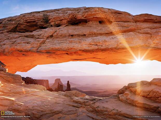 natgeowllpprs25 natgeowllpprs25 990x742 Обои для рабочего стола от National Geographic за апрель 2013