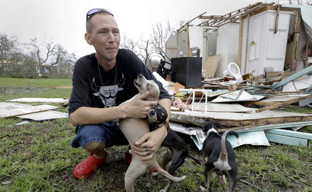 Как в США спасали домашних питомцев от урагана «Харви»