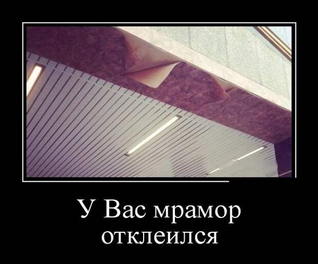 Демотиваторы (30 фото)