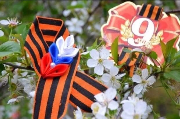 Житель Новосибирской области узнал о подвиге отца-фронтовика спустя 80 лет