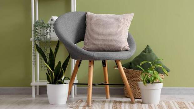 Неожиданный способ вернуть бодрость и красоту домашним растениям