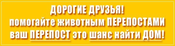 Один из жильцов и сотрудники жилконторы активно выступают против этих солнечных малышей... Люди, нужна любая ваша помощь!!!