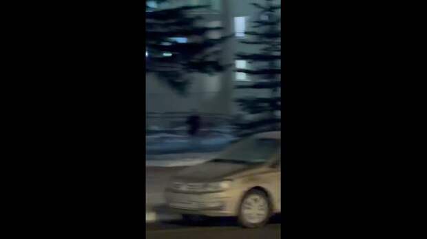 Слон сбежал из цирка и спокойно разгуливал по улицам Самары.