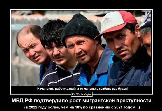 МВД признало, что преступность со стороны мигрантов в России растёт