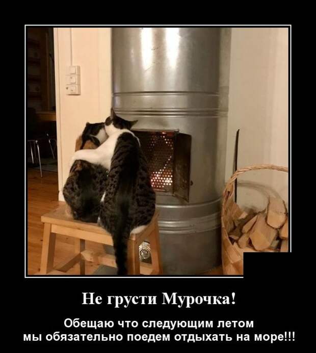 Демотиваторы (20 фото)