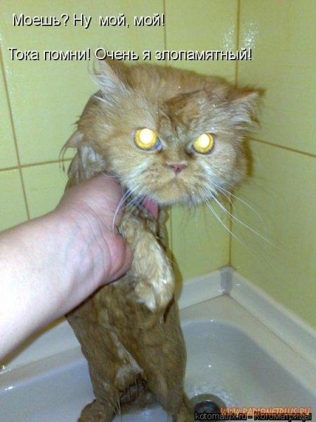 О братьях наших меньших....