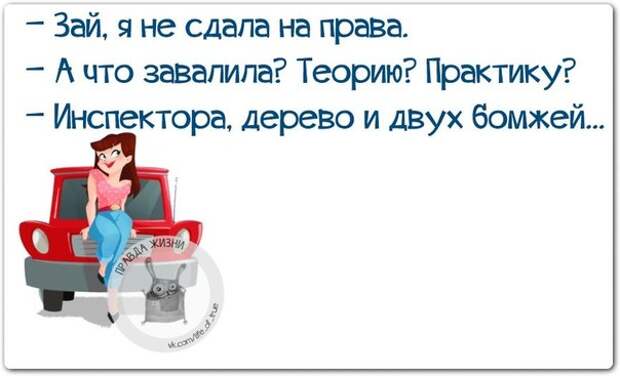 Зай, я не сдала на права