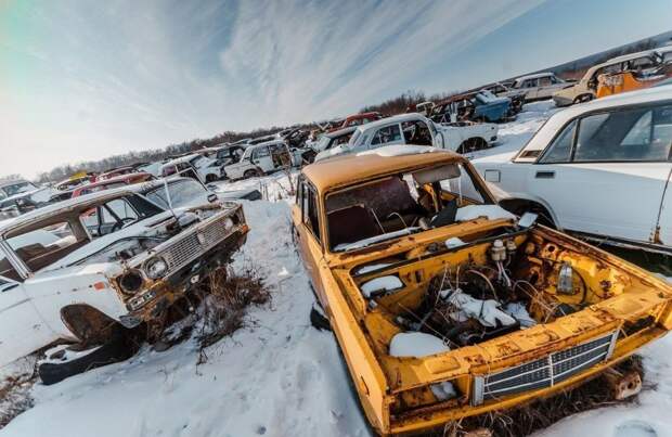 Кладбище отечественных автомобилей под Воронежем авто, автомобили, автосвалка, джанкярд, заброшенные автомобили, кладбище автомобилей, металлолом, свалка