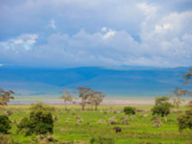 Клуб путешествий Павла Аксенова. Танзания. Landscape of Ngorongoro crater in Tanzania. Фото shalamov - Depositphotos