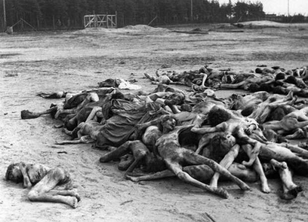 Тысячи мертвых тел в Берген-Бельзен, которые были найдены после освобождения лагеря британскими войсками. 