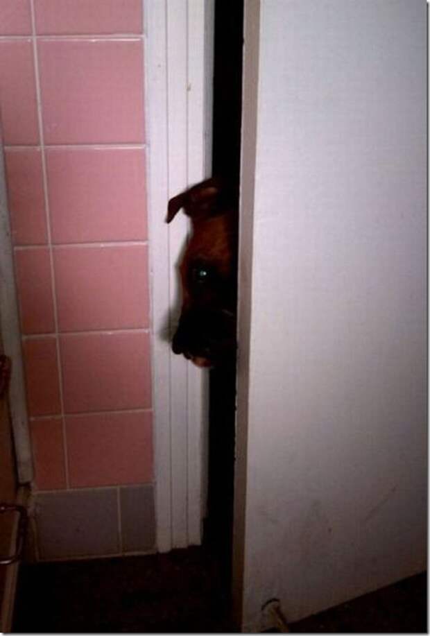 clip_image025