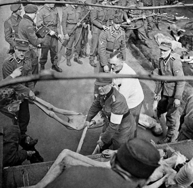 Солдаты немецких войск СС грузят тела жертв-узников концлагеря Берген-Бельзен.