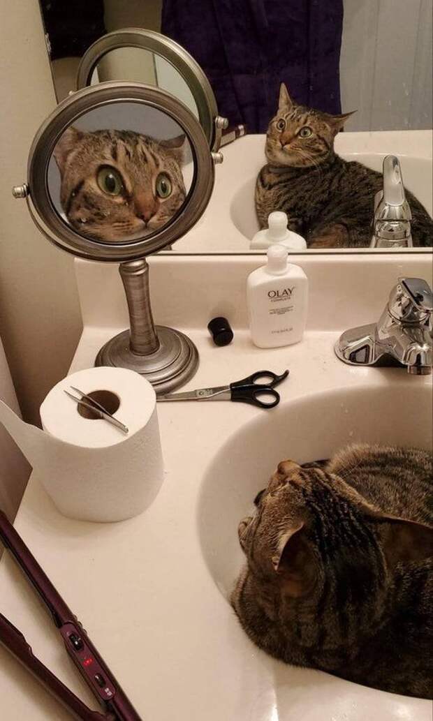 Ты вообще кто?