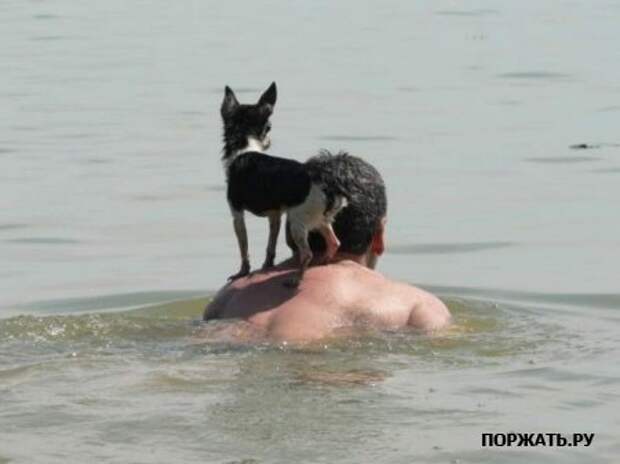 позитивчик на вторник :)