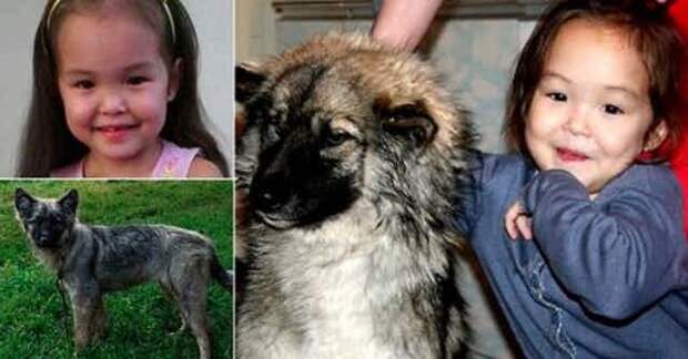 Карина Чикитова - девочка с собакой дети, наедине с природой, опасность, спасение
