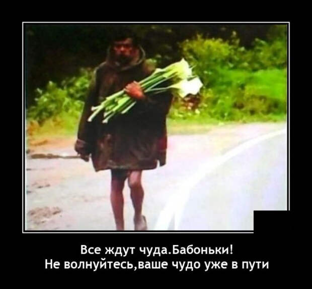 демотиваторы новые