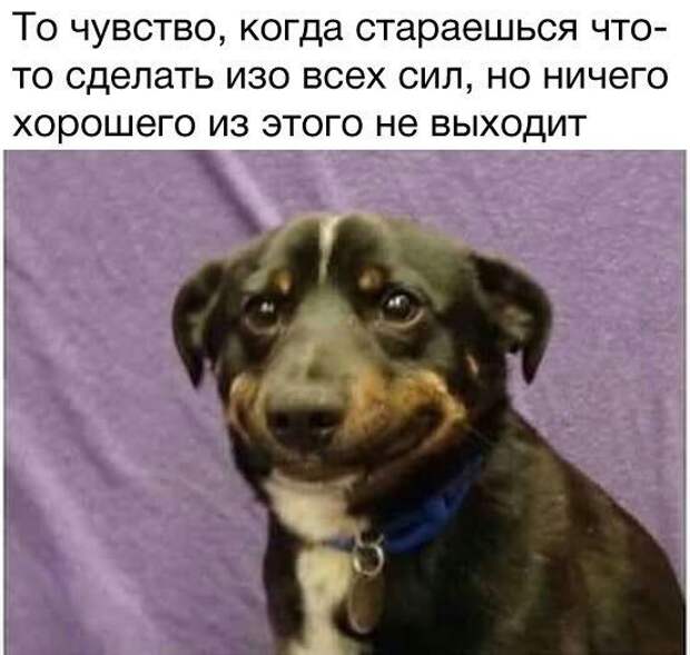 Позитивные картинки с надписью для веселья (12 фото) Позитивные картинки с надписью для веселья (12 фото)