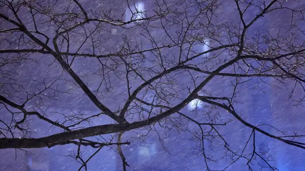 Сотрудник центра погоды «Фобос» Тишковец предупредил о худшей за 60 лет погоде в Москве