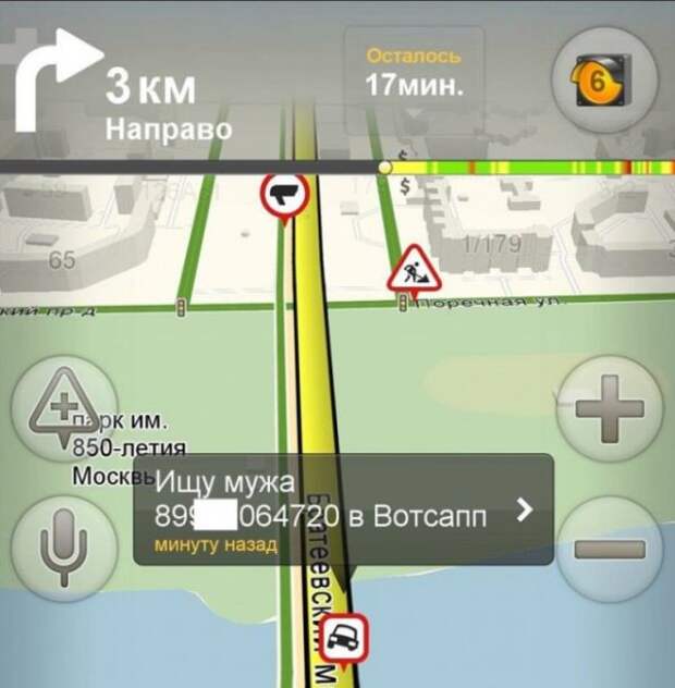 В поисках второй половинки (22 фото)