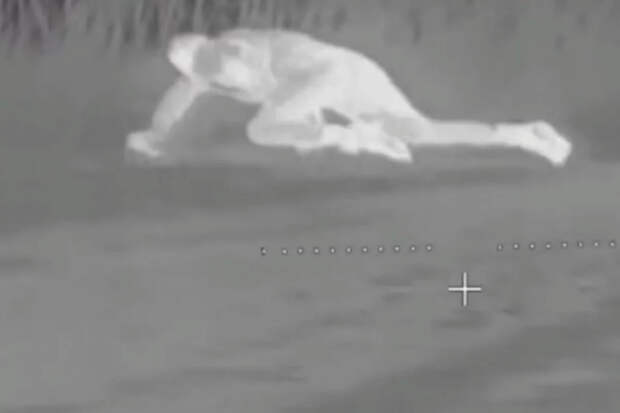 Пропали без вести 80 душ: эксперт сказал, куда делась рота ВСУ у Харькова