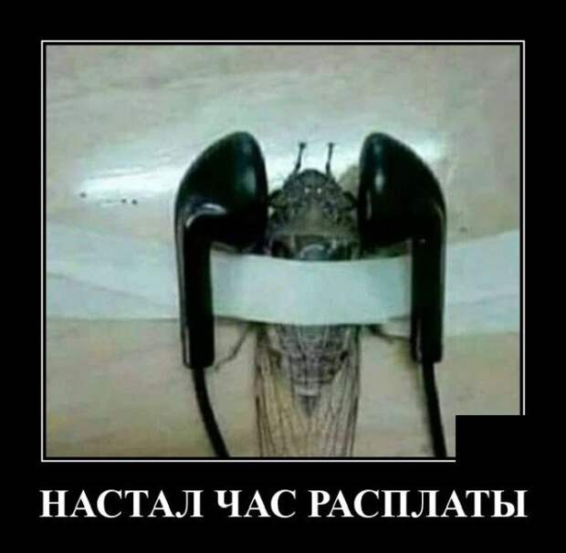Демотиватор про месть