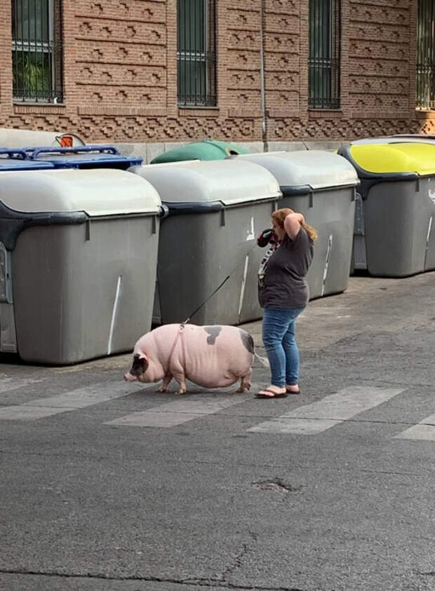 приколы 2021
