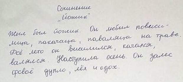Остроумные сочинения и не менее остроумные выходки новоявленных школьников Остроумные сочинения и не менее остроумные выходки новоявленных школьников