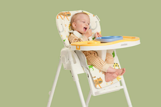 ЛДПР предлагает снизить налоги на детские товары и повысить на устрицы