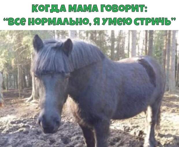 Стрижка