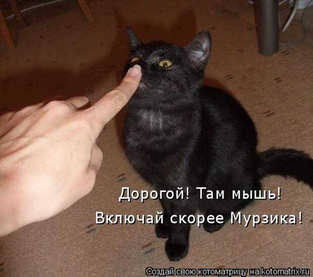 Мысли вслух :)