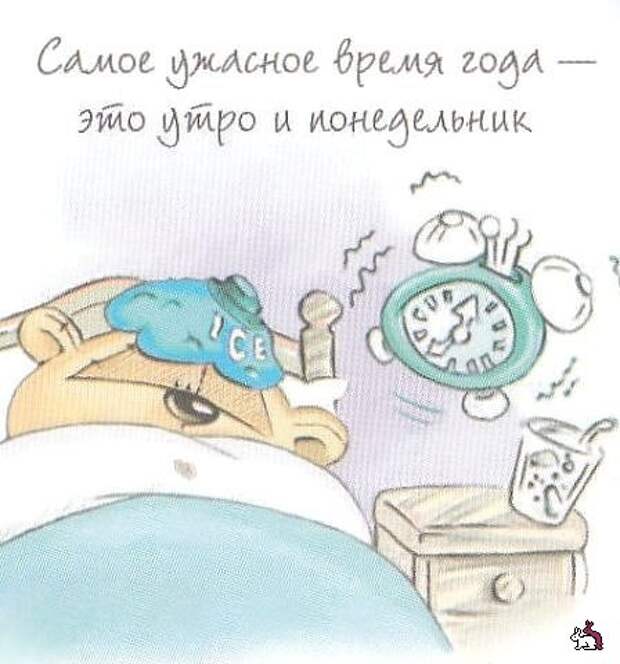 Смешные картинки дня. Насущные мысли