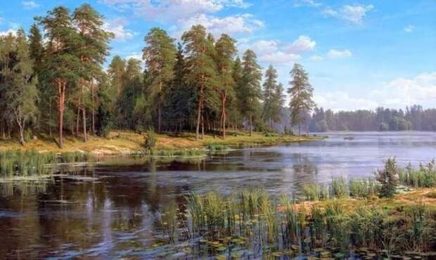 художник Сергей Басов картины – 10